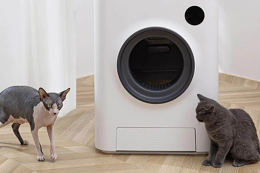 best no smell cat litter box
